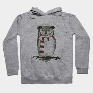 Winter owl II Hoodie